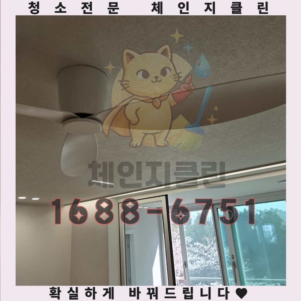 인천 수산동 원룸청소로 집안의 숨겨진 문제를 한 번에 해결하는 방법