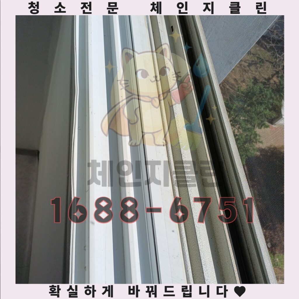 입주청소와 이사청소, 당신의 선택이 삶을 바꾼다