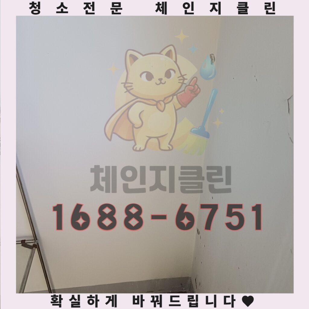 당일 가능한 인천 입주청소, 당신의 새 집을 완벽하게 변신시키는 마법