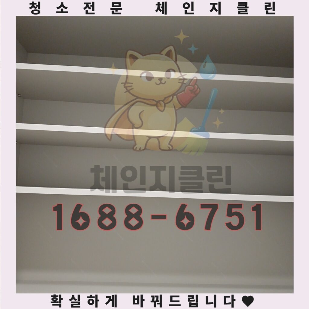 반려동물과 함께하는 집, 냄새 없는 공간으로 바꾸는 특별한 비법