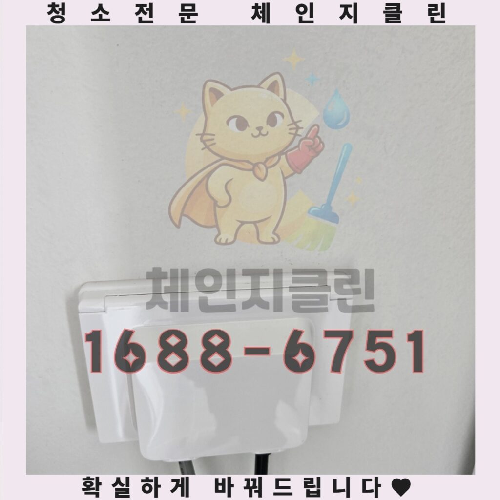 인천 원룸 청소와 폐기물 수거의 숨겨진 비밀, 당신의 공간을 완벽하게 변화시킬 기회