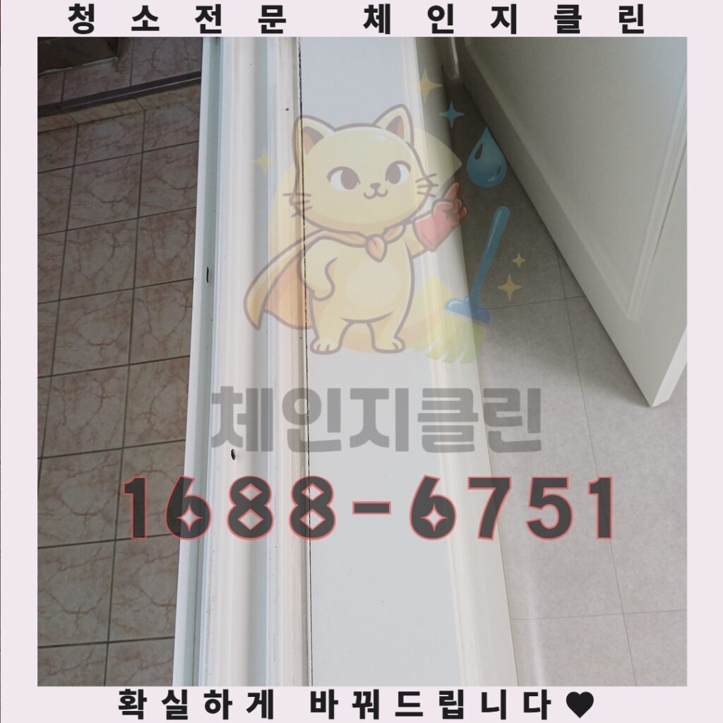 구월동 쓰레기집 정리, 특수청소로 새처럼 깔끔하게 변신하는 방법