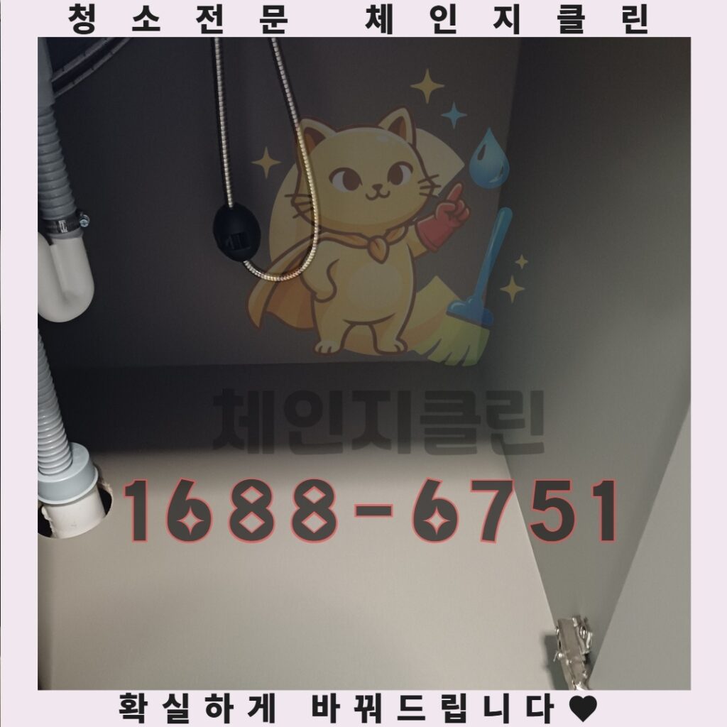 연수동 아파트 이사청소의 숨겨진 비밀, 깨끗한 새 시작을 위한 필수 선택